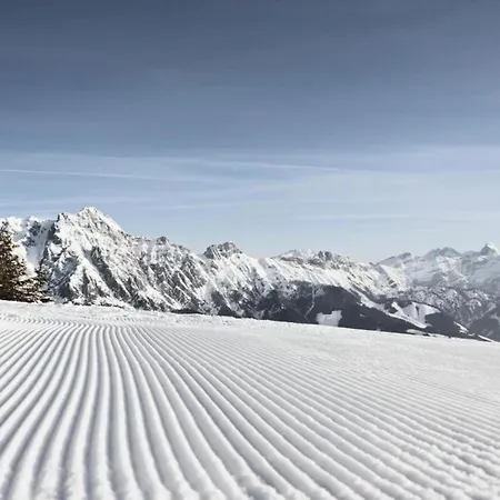 In Near Slopes, Cleaning Included
